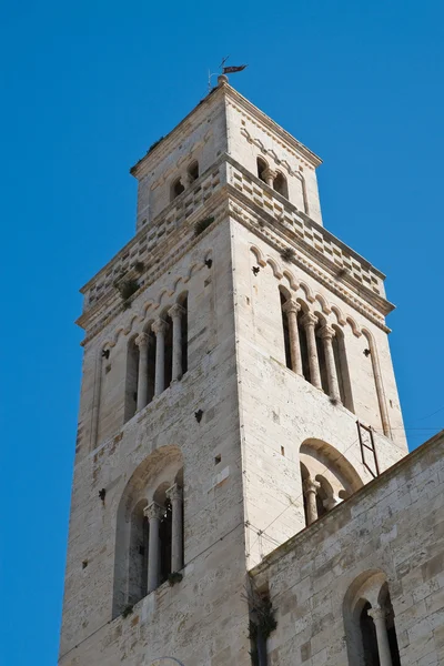 Katedra w Acquaviva delle fonti. Puglia. Włochy. — Zdjęcie stockowe