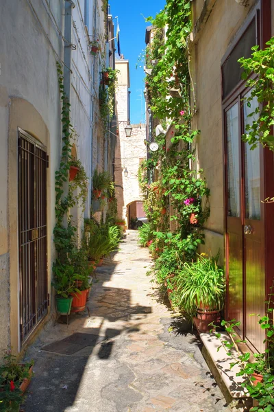 alleyway. Acquaviva delle fonti. Puglia. İtalya. 