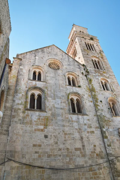 Katedra w Acquaviva delle fonti. Puglia. Włochy. — Zdjęcie stockowe