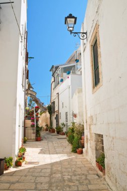 Ara sokakta. Kısrak başına polignano. Puglia. İtalya. 