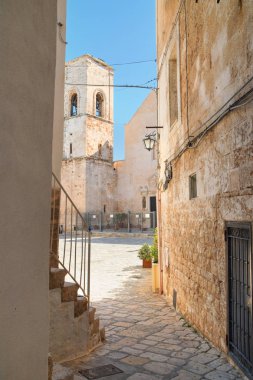 Ara sokakta. Kısrak başına polignano. Puglia. İtalya. 