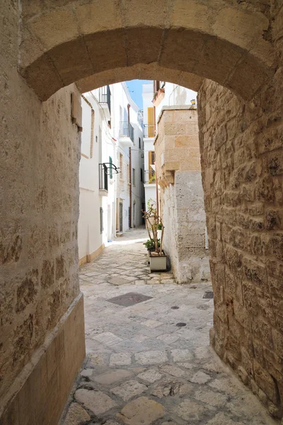 En gränd. Polignano är ett sto. Apulien. Italien. — Stockfoto