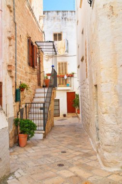 Ara sokakta. Kısrak başına polignano. Puglia. İtalya. 