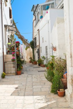 Ara sokakta. Kısrak başına polignano. Puglia. İtalya. 