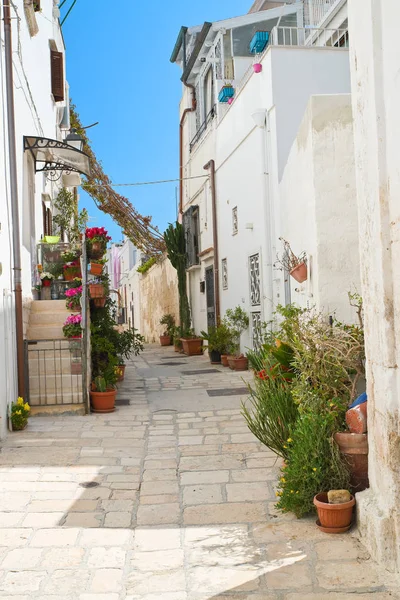 Ulička. Polignano je klisna. Puglia. Itálie. — Stock fotografie