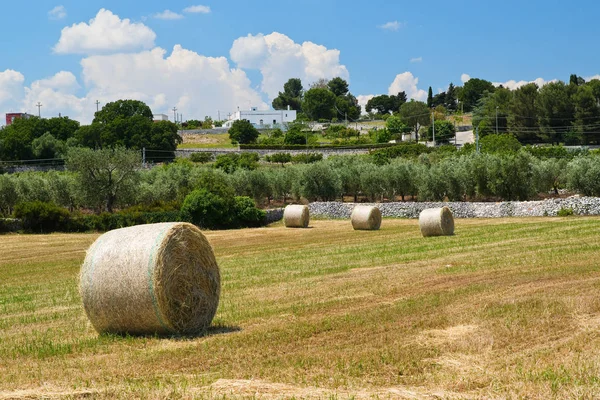 Stóg siana. Locorotondo. Puglia. Włochy. — Zdjęcie stockowe