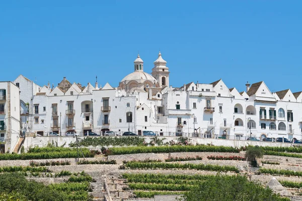 Panoramisch zicht op Volterra. Puglia. Italië. — Stockfoto