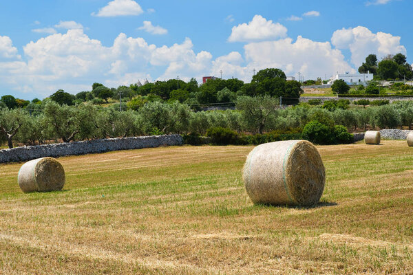 Хейстек. Локоротондо. Апулия. Италия
. 