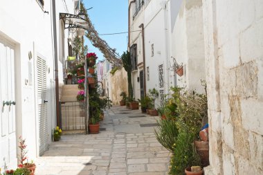 Ara sokakta. Kısrak başına polignano. Puglia. İtalya. 