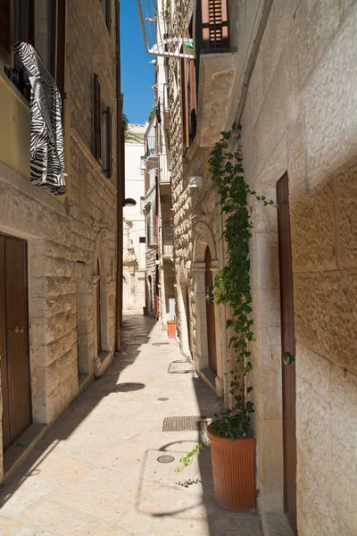 小巷里。Molfetta。普利亚大区。意大利. — 图库照片