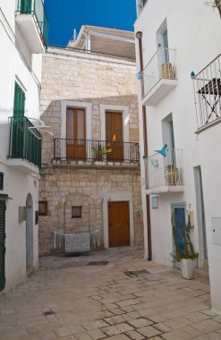 Ara sokakta. Kısrak başına polignano. Puglia. İtalya. 