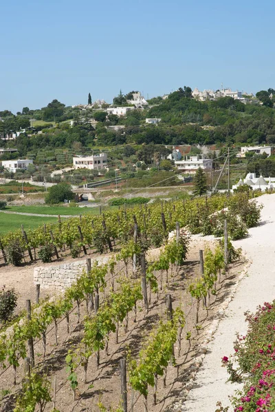 Panoramautsikt över locorotondo. Puglia. Italien. — Stockfoto