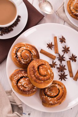 Tarçın baharat beyaz tabak üzerinde rulo.. 