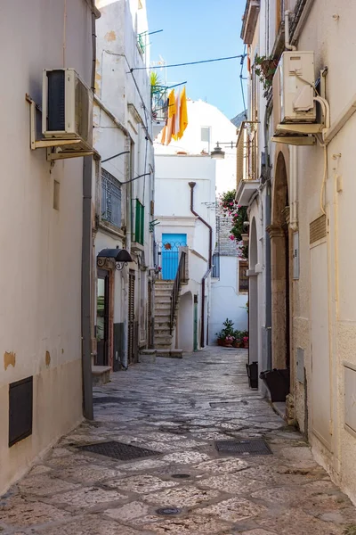 Allée Noci Pouilles Italie — Photo