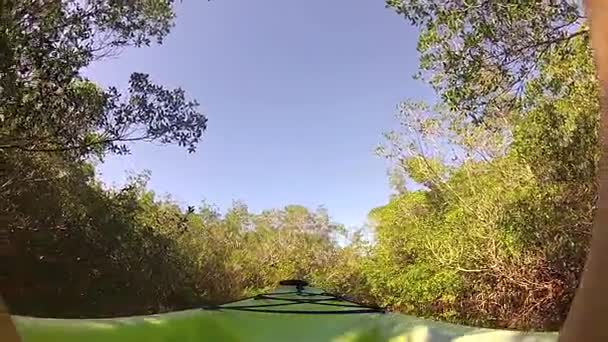 Eine entspannte Fahrt mit dem Kajak durch eine Mangrove mit niedriger Vegetation sind in Florida — Stockvideo