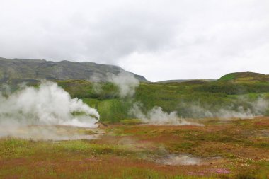 Geyser, Haukadalur, Reykjavik yakınlarındaki altın daire