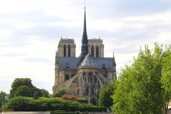 Notre dame cathedral de paris, Frankreich. Sommerzeit — Stockfoto