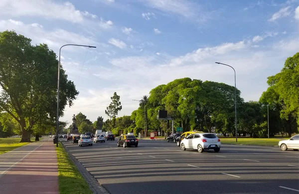 Tavaszi virágzás jacaranda, Buenos Aires, Argentína. Autópálya — Stock Fotó