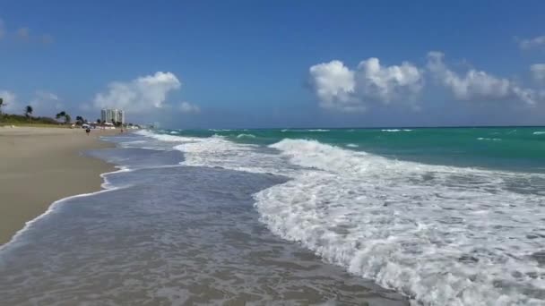 Wild Tropical Sandy Beach Waves — Stock Video