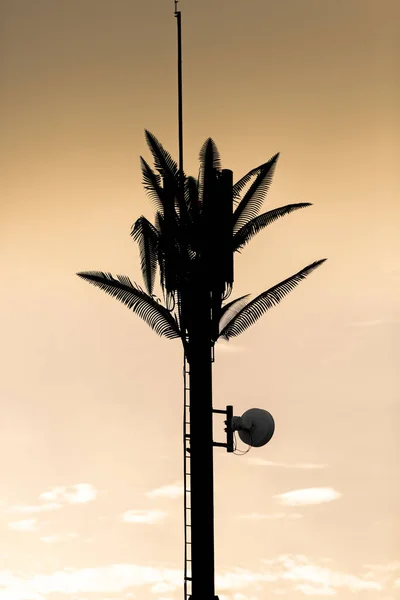 Mastro de telecomunicações / torre com folhas de palmeira e TV trans — Fotografia de Stock