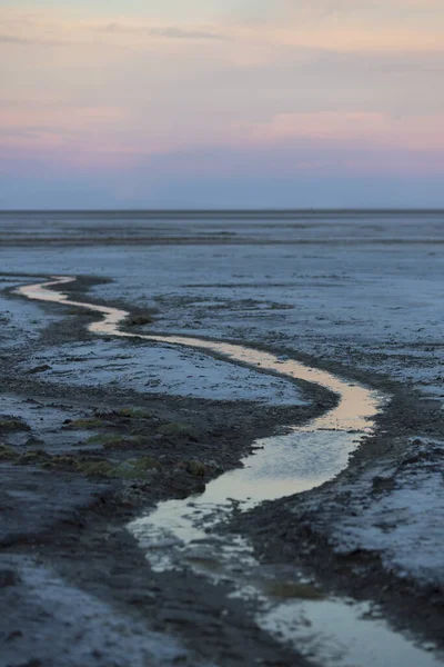Coucher Soleil Sur Salar Uyuni Avec Minuscule Rivière Eau Horizon — Photo