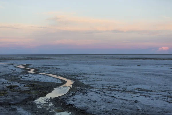Coucher Soleil Sur Salar Uyuni Avec Minuscule Rivière Eau Horizon — Photo