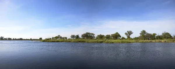 Krajobraz Wody Trawy Delcie Okavango Botswanie — Zdjęcie stockowe