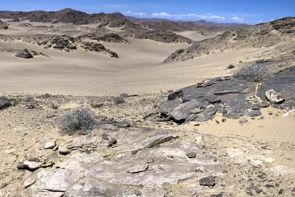 Désert Sable Blanc Sur Côte Squelette Namibie — Photo