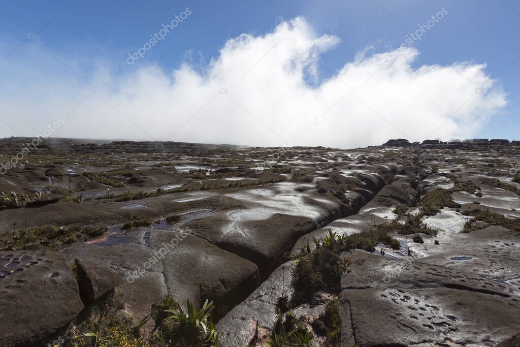 Wild landscape at the top of Mount Roraima with clouds early in the morning. Gran Sabana. Venezuela 2015.