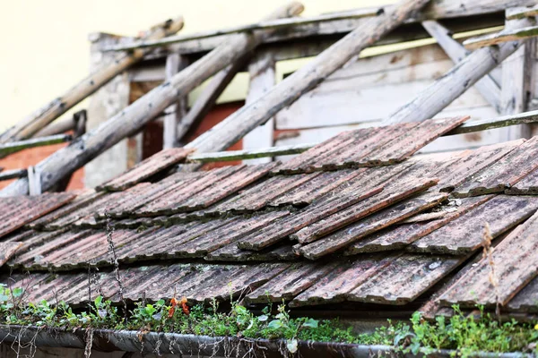 stock image old abandoned building with grass on roof