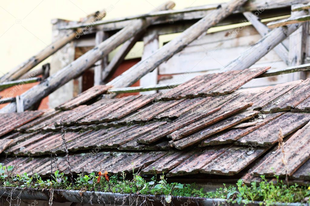 old abandoned building with grass on roof