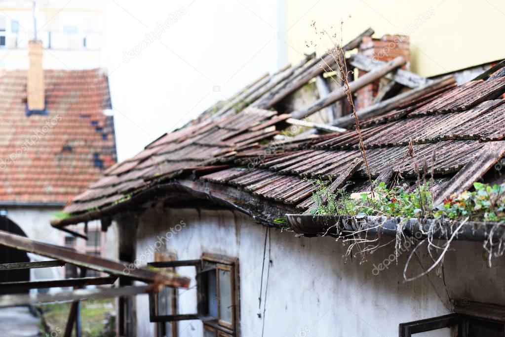 old abandoned building with grass on roof