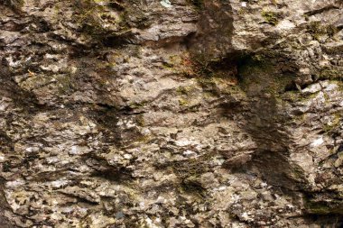 dağ taş yosun ve liken noktalar ile