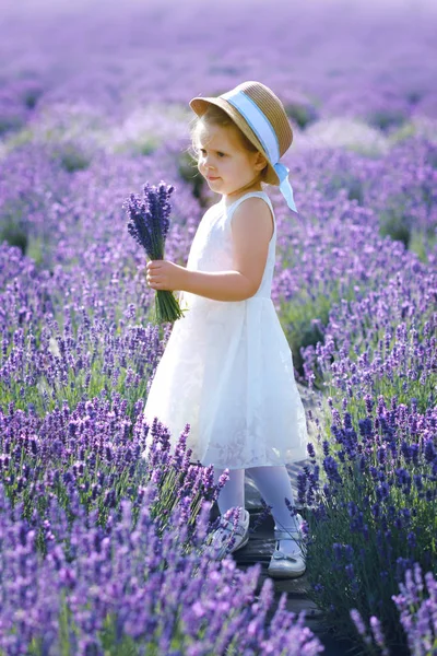 Little girl at lavender field — Stock Photo, Image