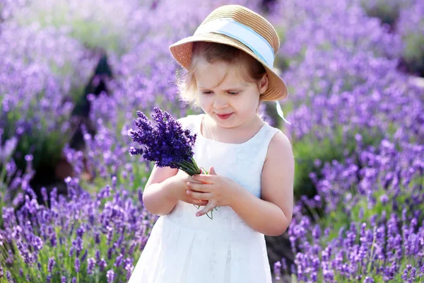 Little girl at lavender field — Stock Photo, Image