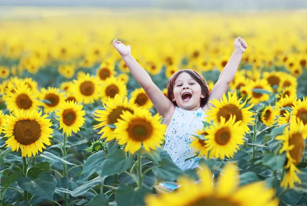 Garçon sur champ de tournesol — Photo