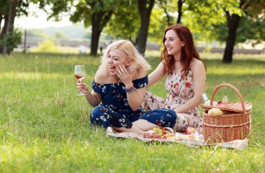 içki şarap kutlamak dostluk şaka yapıp gülüyordun piknik üzerinde