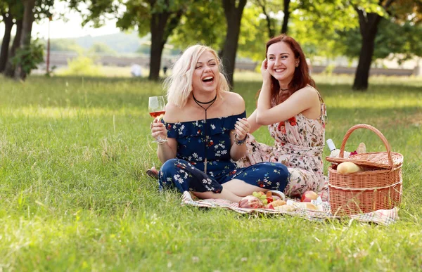 Подруги Дівчата Розважаються Ють Вино Святкують Дружбу Пікніку Сміючись Жартуючи — стокове фото