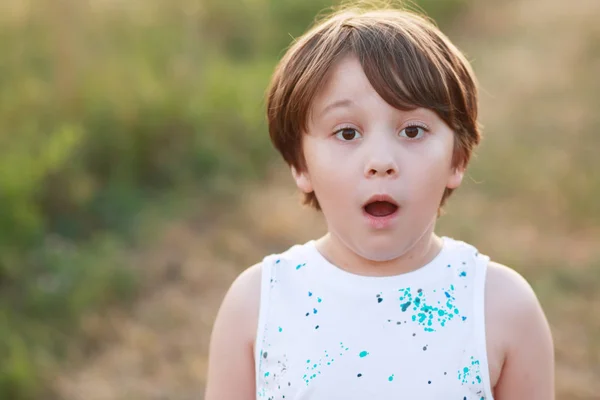 Porträt Eines Überraschten Kleinen Jungen Auf Grünem Gras Hintergrund — Stockfoto