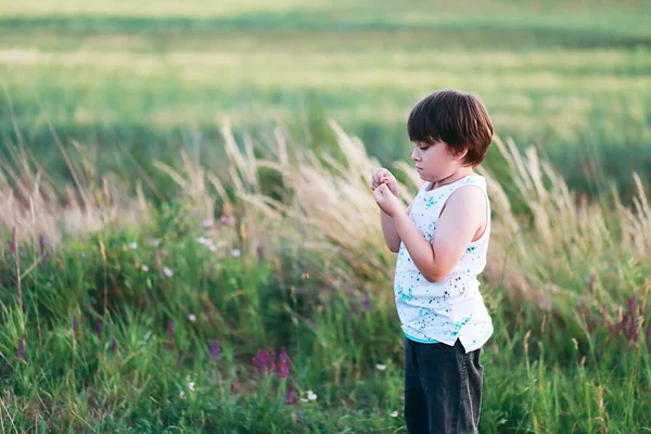 Little Years Boy Discovered Bug Which Found Field — Stock Photo, Image