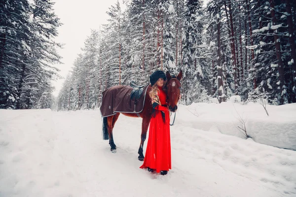 Foto Full-length di una bella ragazza e bello stallone, cavallo in inverno sulla natura — Foto Stock