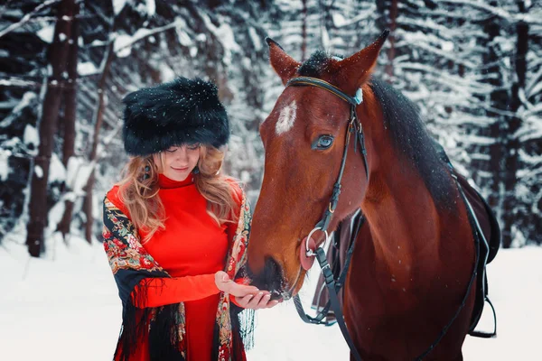 Portrait of a beautiful girl and  handsome stallion,  horse in the winter on the nature — Stock Photo, Image