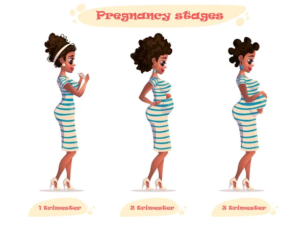 Stages of pregnancy vector illustration of black pregnant woman. african-american pregnant woman. Changes in a woman's body in pregnancy. Pregnancy stages, 3 trimesters. Cartoon character — Stock Vector