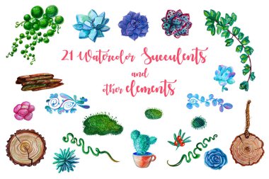 Sulu Boya resimleri - succulents clipart. Tüm öğeleri izole edilmiştir. Düğün davetiyesi, tebrik kartı, kartpostal, poster, tekstil, baskı vb için mükemmel