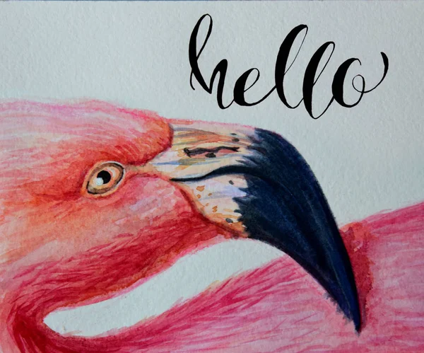 水彩火烈鸟粉红色手绘插图与题词您好。鸟外形肖像艺术印刷品 — 图库照片
