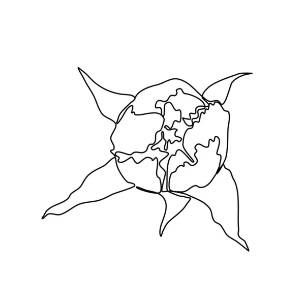Continuous line art peony. One line art symbol Botanical illustration Wedding floral decoration. Single icon. Trendy vector in a minimalist style for interior, postcards, a logo or printing on clothes