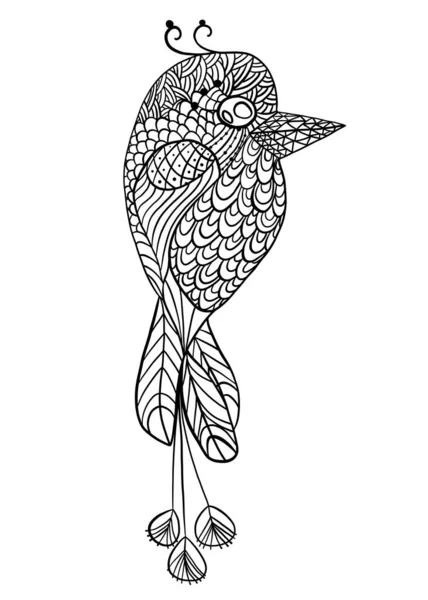 Coloriage caniche adulte oiseau. Modèle de croquis vintage avec page à colorier pour les enfants oiseau. Design d'art de mode. Modèle animal. Belle illustration. Schéma vectoriel dessin à la main dessin à la ligne vecteur — Image vectorielle