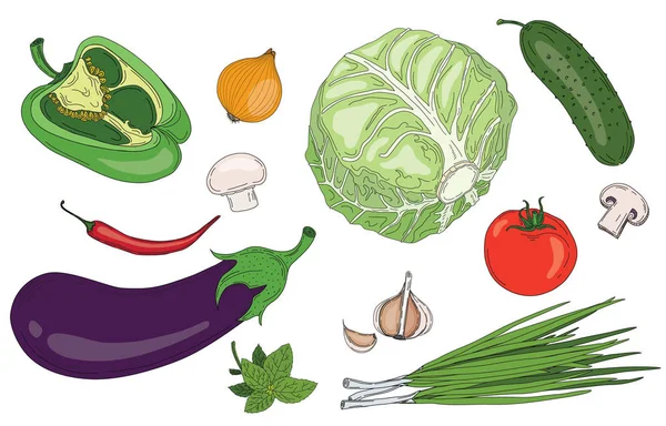 Овочі та трави свіжі весняно-зелені органічні Векторна колекція вегетаріанської їжі — стоковий вектор