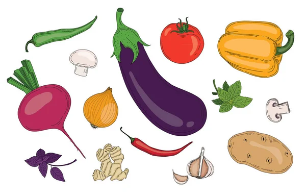 Gemüse und Kräuter frische frühlingshafte grüne Vektorsammlung vegetarischer Lebensmittel — Stockvektor