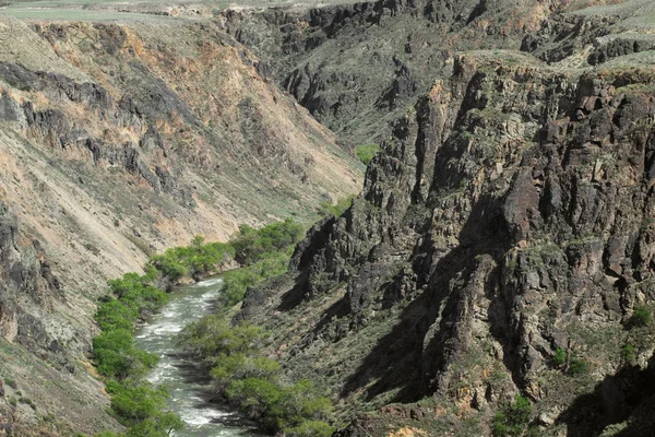 Mountain fast river — Stock Photo, Image